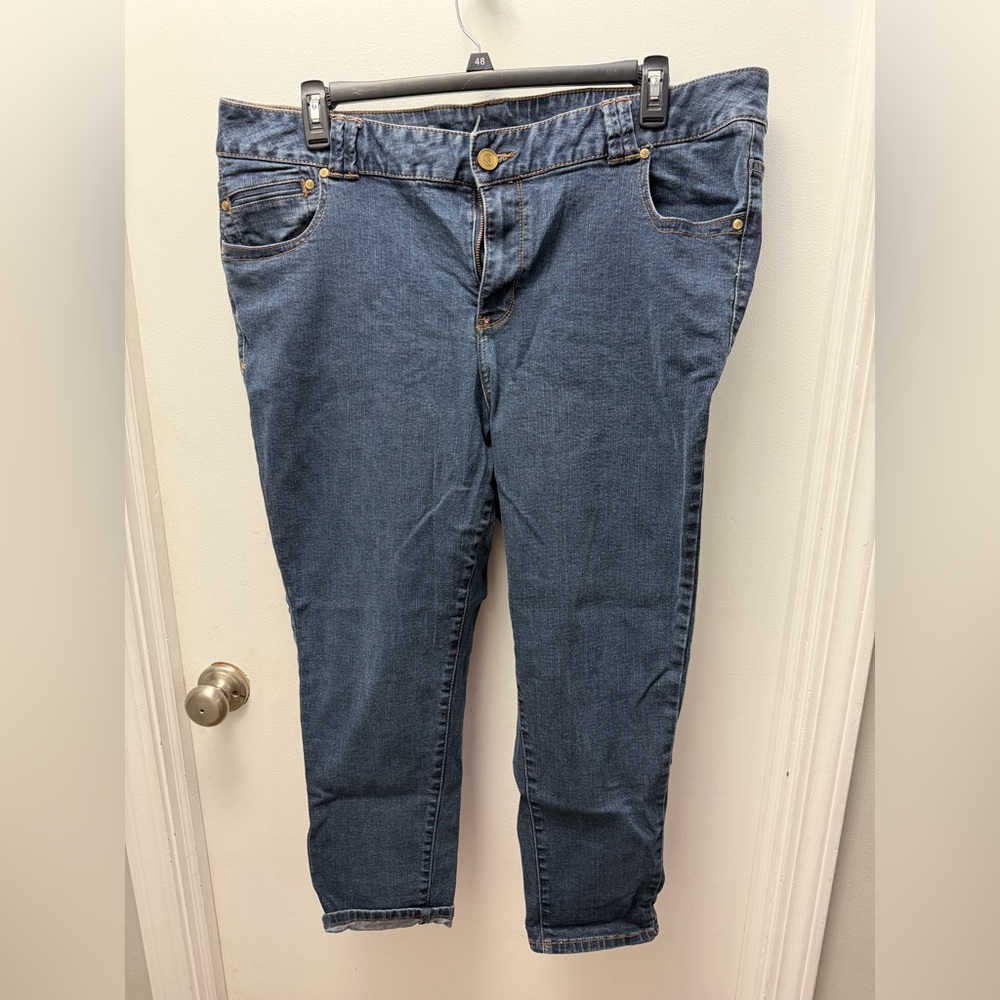 Lane Bryant Blue Skinny Jeans